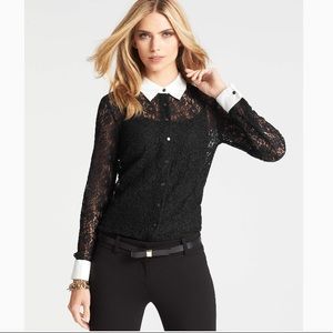 Ann Taylor lace blouse 0p nwt